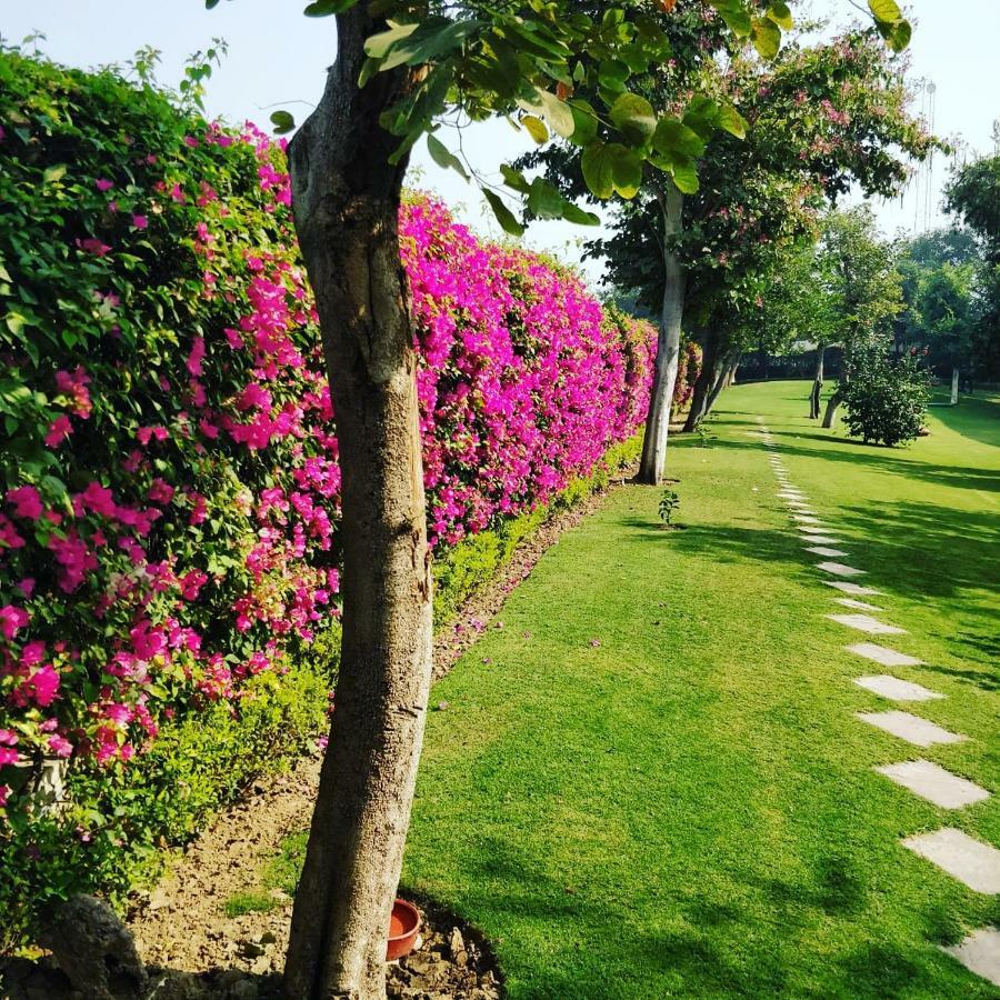 Trident Agra 5*